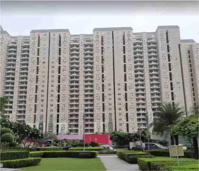 DLF The Camellias, photo 2